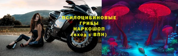 твердый Богданович