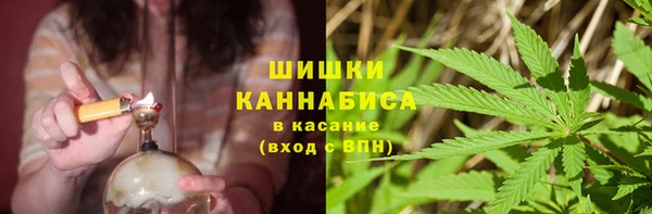 твердый Богданович