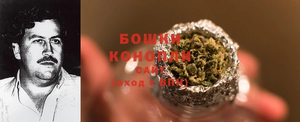 твердый Богданович