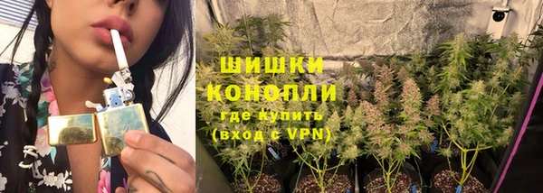 твердый Богданович