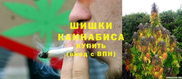 дживик Богородск