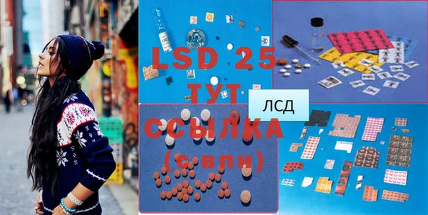 дживик Богородск