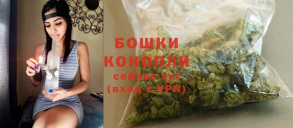 дживик Богородск