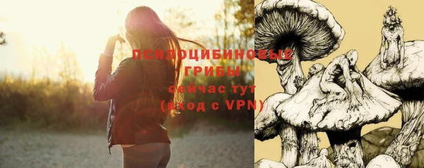 твердый Богданович