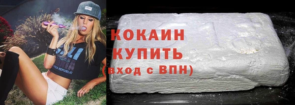 дживик Богородск
