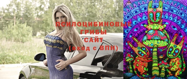 меф Богородицк