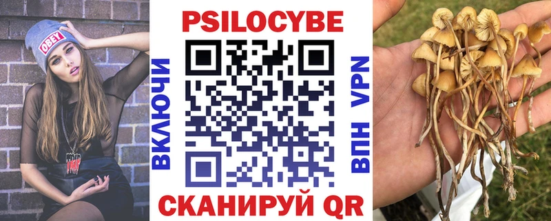 Галлюциногенные грибы мицелий  Купить закладки  Лосино-Петровский 
