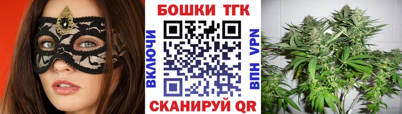 Каннабис план  Купить где  Лосино-Петровский 